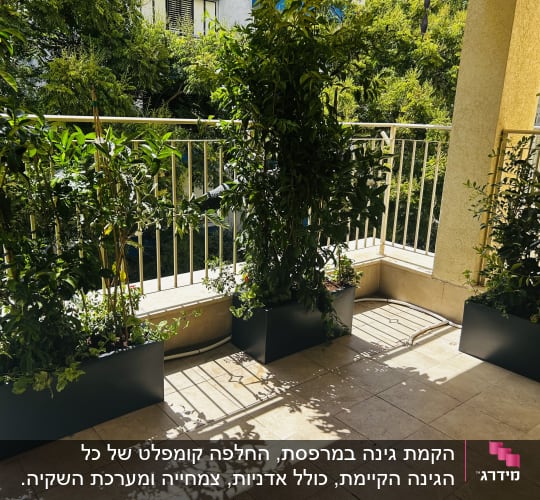 עציצים עם צמחים ירוקים במרפסת שטופת שמש